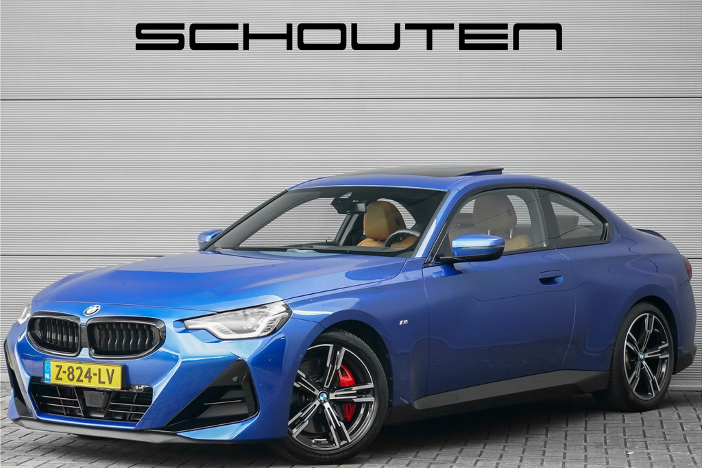 55648626