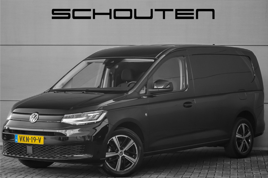 56366446
